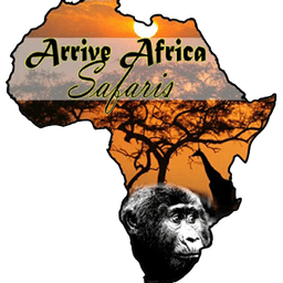 Arrive Africa Safaris