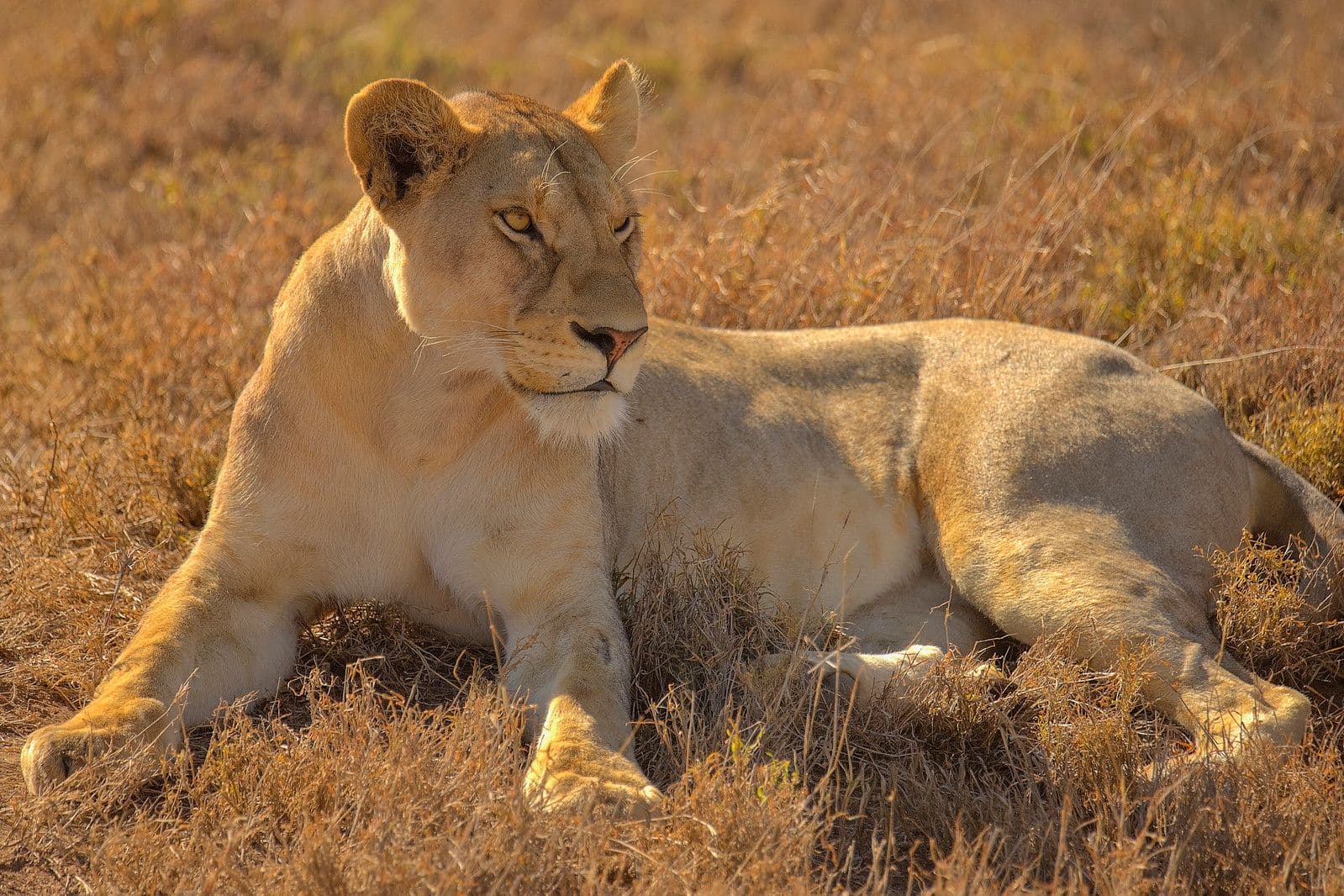 Queen Elizabeth National Park, Uganda