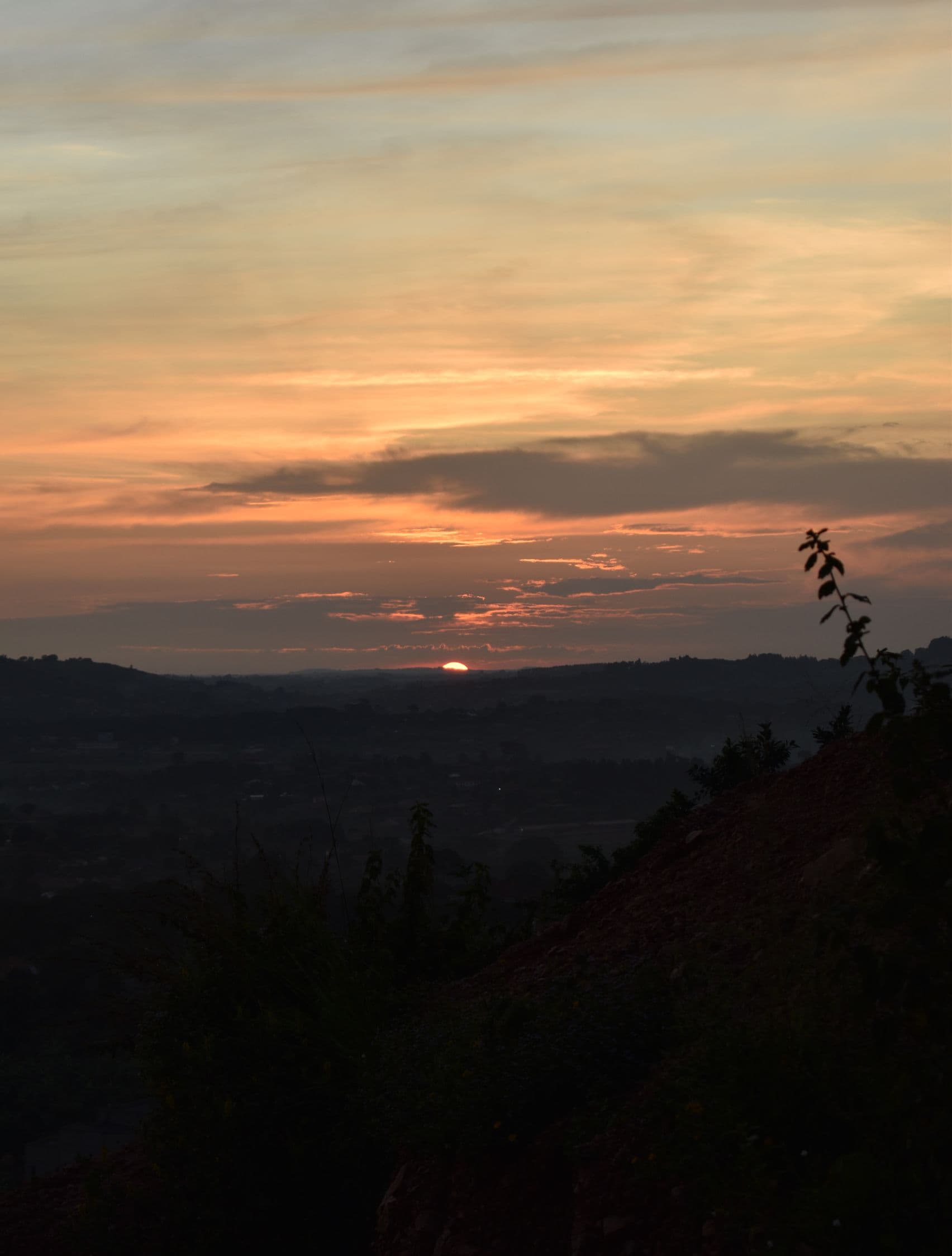 "I came back lighter. The safari gave me back a kind of quiet I had forgotten existed, and I have been writing letters by hand again ever since."
