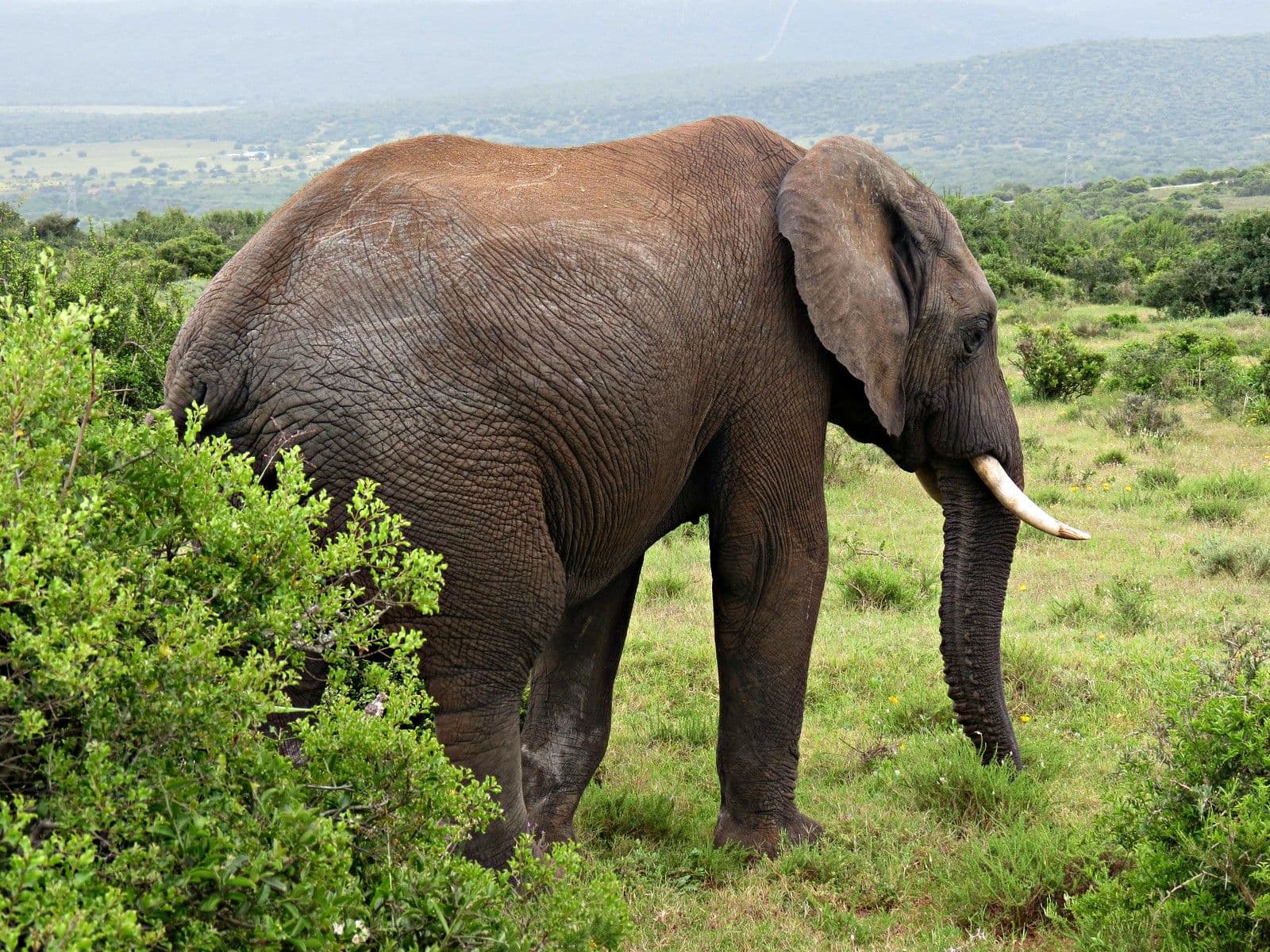 2-Day Lake Mburo Wildlife Safari – Private Uganda Safari Adventure
