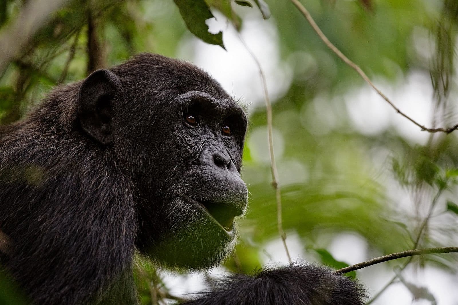 3 Days Semuliki National Park Safari Uganda