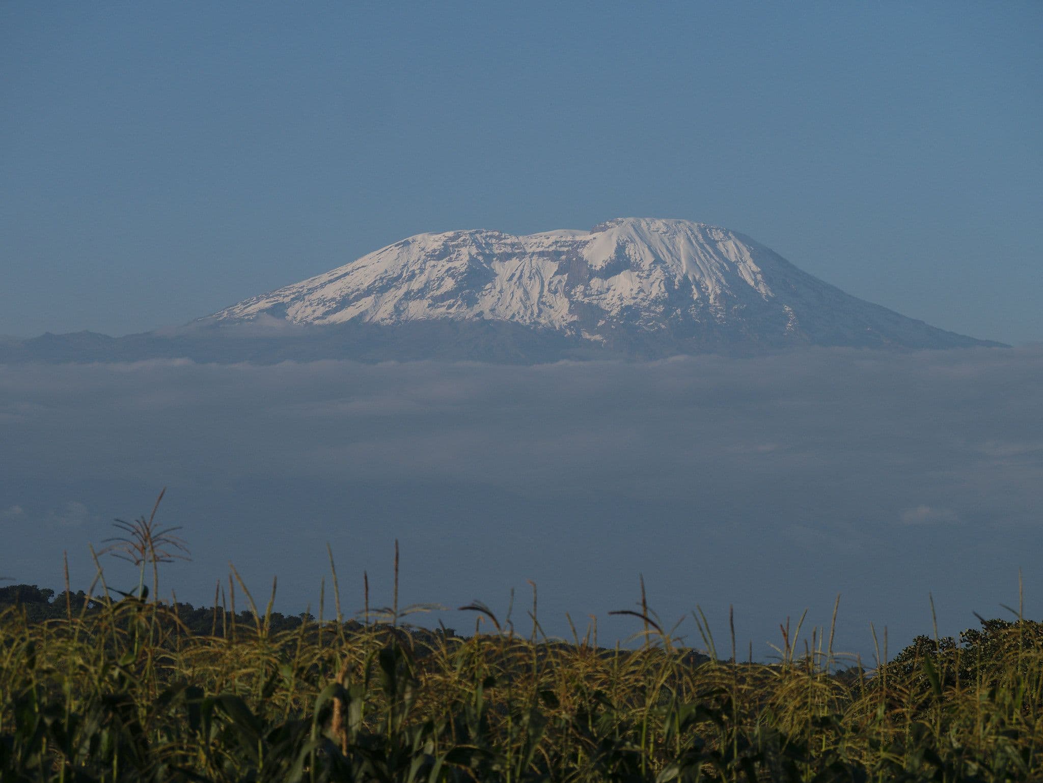 8 Days Mount Kilimanjaro Climb – Lemosho Route