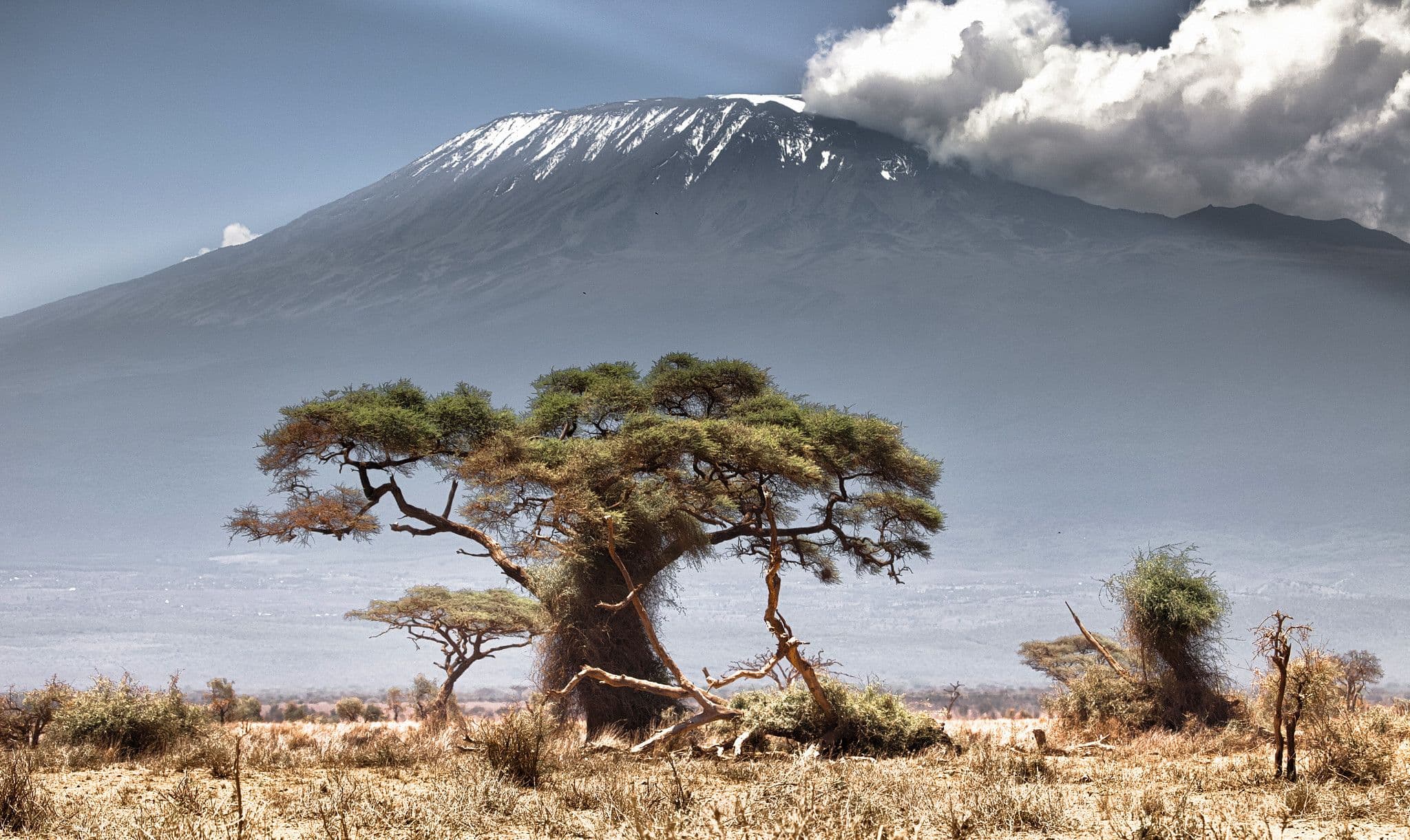 8 Days Mount Kilimanjaro Climb – Machame Route