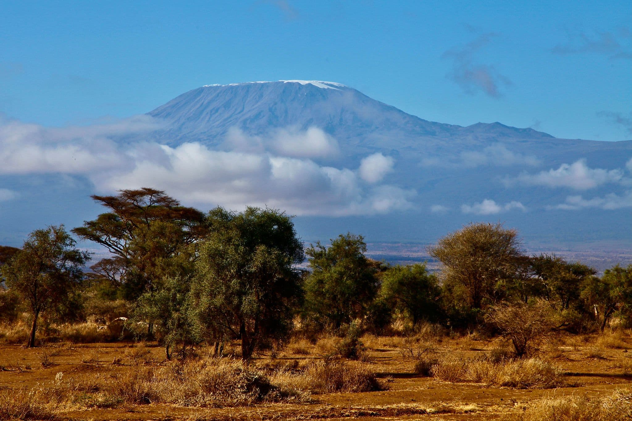 10 Days Mount Kilimanjaro Climb – Northern Circuit Route
